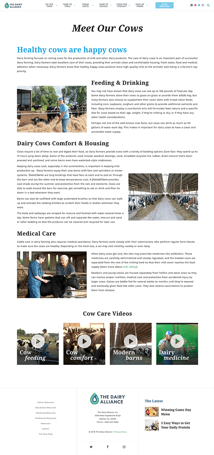 Dairy_Cows